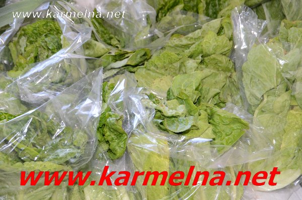 خضار وفواكة ربيع ابو الزلف